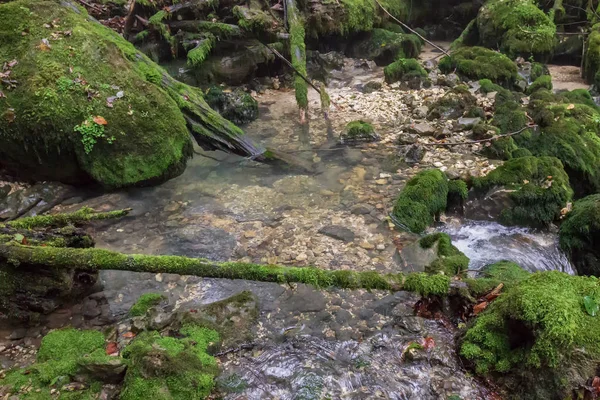 Νερό Καθαρό Οικολογία Του Ποταμού Στο Βουνό Προέλευσης — Φωτογραφία Αρχείου