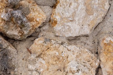 Ücretsiz koruma doğa taş duvar, doku, arka plan.