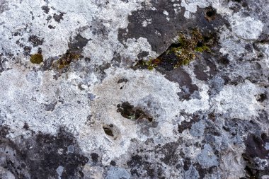 Doğal dağ taş, doku, yakın-up.