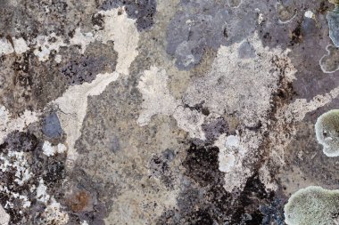 Doğal dağ taş, doku, yakın-up.