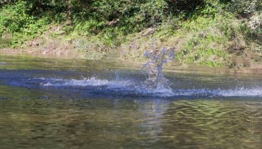 Taş su sıçrama oyunları.