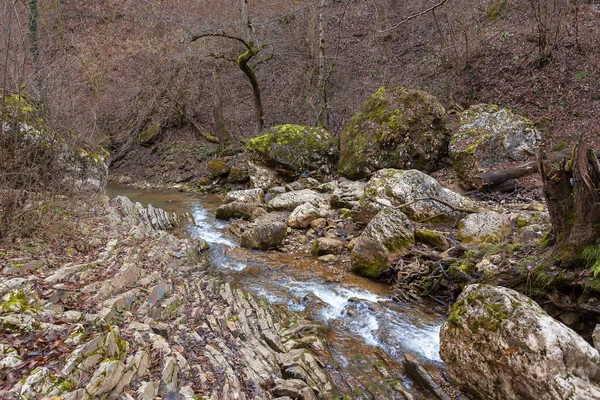 Rios Montanha Pequenas Cachoeiras São Fontes Água Limpa — Fotografia de Stock