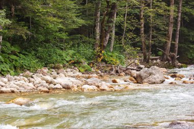 Nehir dağ kökenli temiz su.