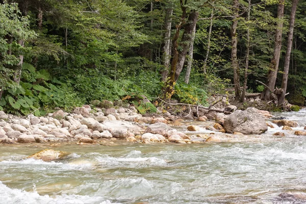 Річкове Гірське Походження Чиста Вода — стокове фото