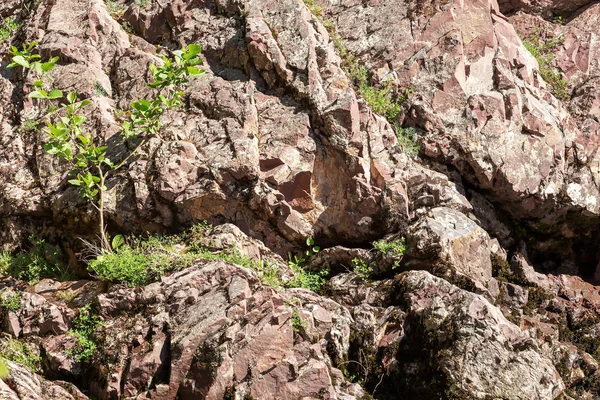 Pedra Natural Montanha Textura Close — Fotografia de Stock