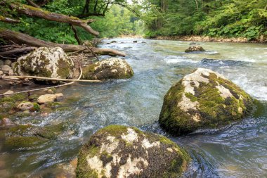Nehir dağ kökenli ekoloji temiz su.