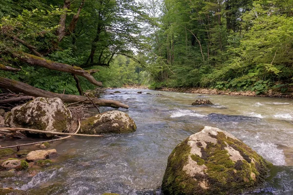 Річкове Гірське Походження Екологія Чиста Вода — стокове фото