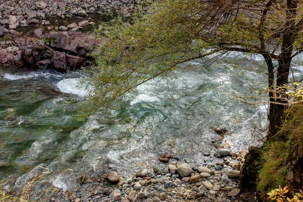 山の川はきれいな水の源である — ストック写真