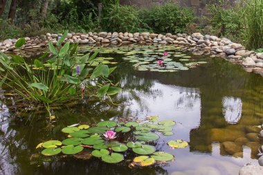 Park alanında bitkiler ile yapay dekoratif gölet.