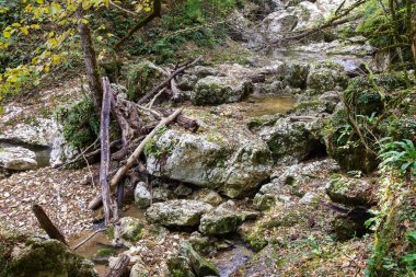 Dağ nehirlerinin kaynakları kayalardan gelen su kaynağı.