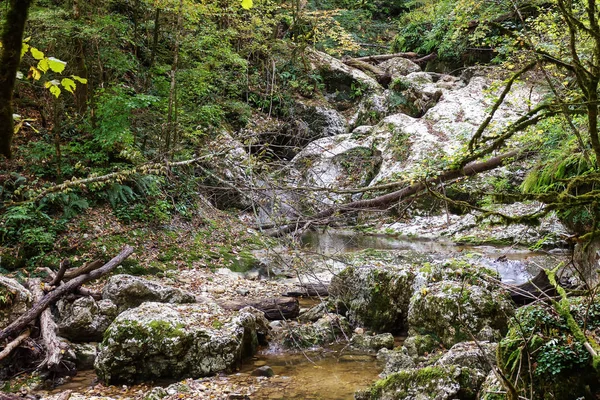 Sources of mountain rivers spring water coming from rocks.