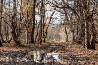 Maikop Adigeia Bölgesi, Rusya Federasyonu 11.12.2017 :Turistler dağ yolları ve Yürüyüş parkurlarında seyahat ediyor.