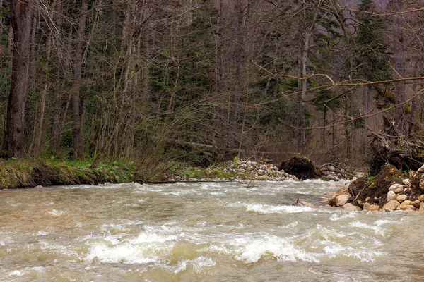 きれいな水の源である山の川 — ストック写真