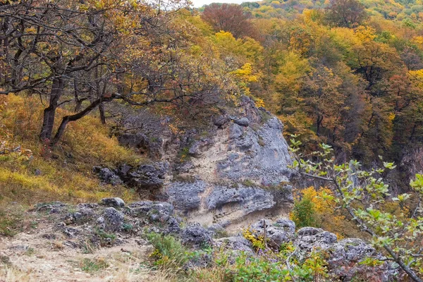 Paisaje Otoñal Las Montañas Árboles Toda Belleza Del Follaje Amarillo — Foto de Stock