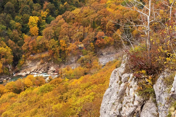 Paisagem Outono Nas Montanhas Árvores Toda Beleza Folhagem Amarela — Fotografia de Stock