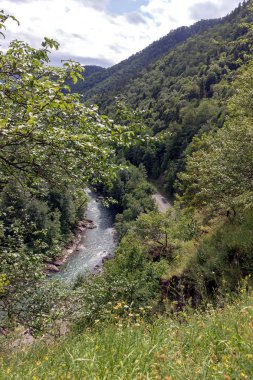 Taş bir kanyonda akan dağ nehri.