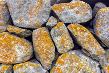 Dağlarda doğal taş eski duvar, yosun kaplı.