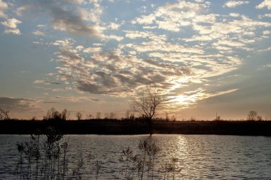 Gölet in kıyısından akşam gün batımı.
