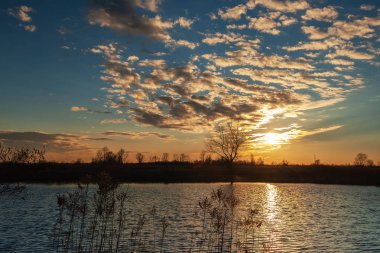 Gölet in kıyısından akşam gün batımı.