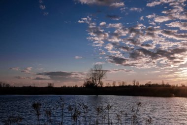 Gölet in kıyısından akşam gün batımı.