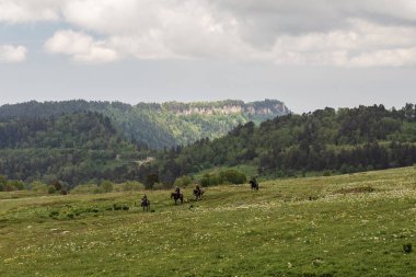  Maikop, Adideia Region, ussian Federation 06.10.2018: dağda Binicilik, yaz.