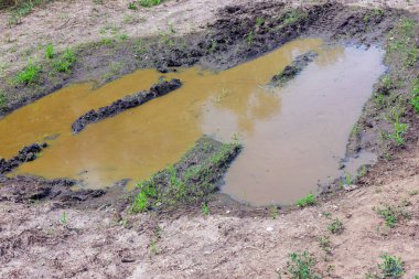Florkültürü yetiştiriciliği için uygun olmayan kurutulmuş toprak.