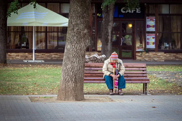 Maikop Adigeya Region Russian Federation 2015 Benches Park Rest Conversation — Stock Photo, Image