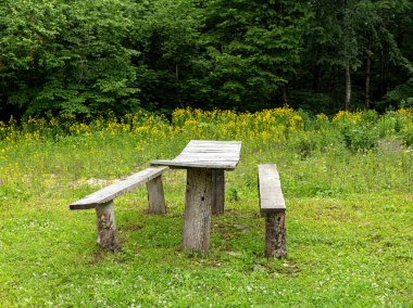 Summer, dinlenmek için bir yer, ahşap bir masa ve antika ahşaptan yapılmış banklar, doğal Park 'ta bir yürüyüş..