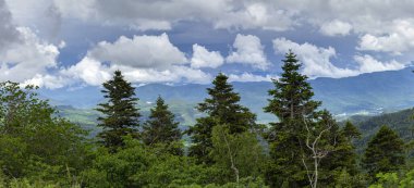 Yaz, doğa parkı, subalpin dağları, gökyüzü ve doğa yürüyüşleri..