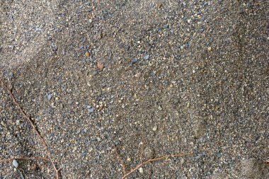 Nehrin dibini kaplayan doğal bir madde olan nehir kumu, büyüyen bitkilerle tuhaf bir yapıya sahiptir..