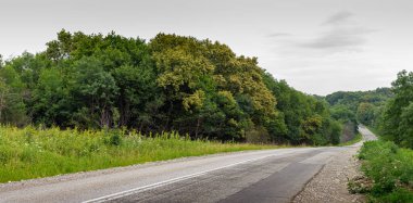 Sıcak yaz günü, orman parkında seyahat için asfalt yol..