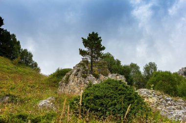 Yaz mevsiminde turistler ve açık hava meraklıları için ziyaret edilecek ve yürüyecek yerler olan dağların manzarası ve bitki örtüsüyle kaplıdır..
