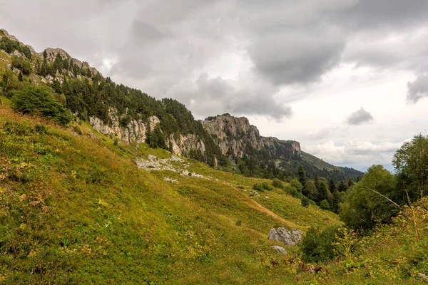 Panorama Hor Subalpských Luk Pokryté Létě Vegetací Místa Návštěvě Procházce — Stock fotografie