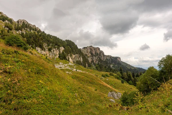 Panorama Mountains Subalpine Meadows Covered Vegetation Summer Places Visit Walk — Stock Photo, Image