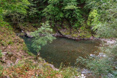Dağ nehirleri tüm kıtadaki en çevre dostu sulardır..  