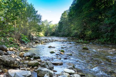 Dağ nehirleri, tüm yıl boyunca dağların tepelerinde bulunan buzullardan ve pınarlardan gelen saf su kaynaklarıdır..