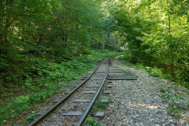 Eski terk edilmiş orman demiryolu güneşli bir yaz gününde zaman ve hava koşulları tarafından tahrip edildi..
