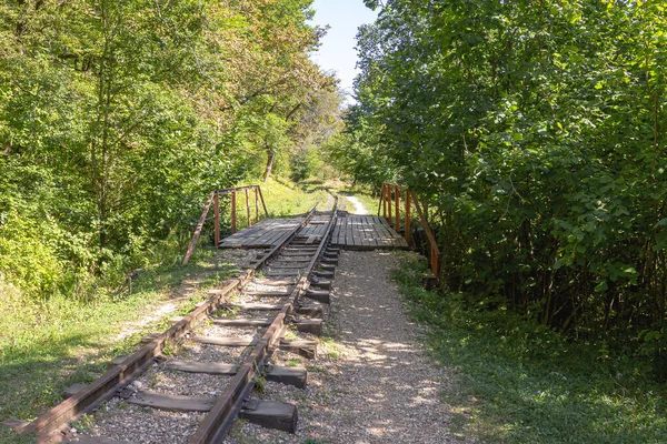 晴れた夏の日に時間と天候によって破壊された古い放棄された森林鉄道 — ストック写真