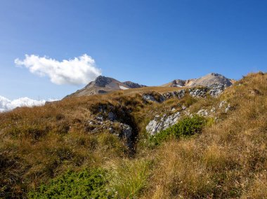 Sonbaharda dağların manzarası, doğanın koynunda dinlenme ve seyahat yeri subalpine otlaklarının dağlık bölgesinde..