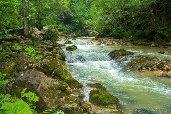 山区河流是整个大陆上最环保的水域 图库图片