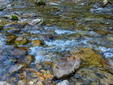 Dağ nehirleri, tüm yıl boyunca dağların tepelerinde bulunan buzullardan ve pınarlardan gelen saf su kaynaklarıdır..