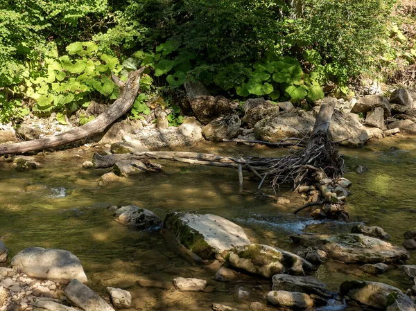 Les Rivières Montagne Sont Des Sources Eau Pure Qui Proviennent — Photo