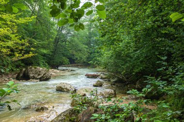 Dağ nehirleri tüm kıtadaki en çevre dostu sulardır..