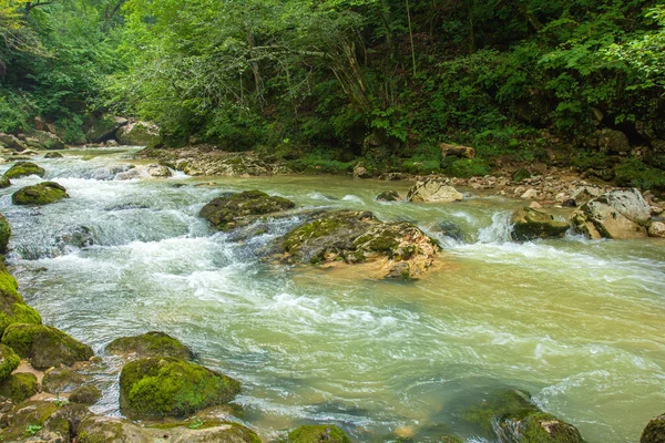 山区河流是整个大陆上最环保的水域 图库图片