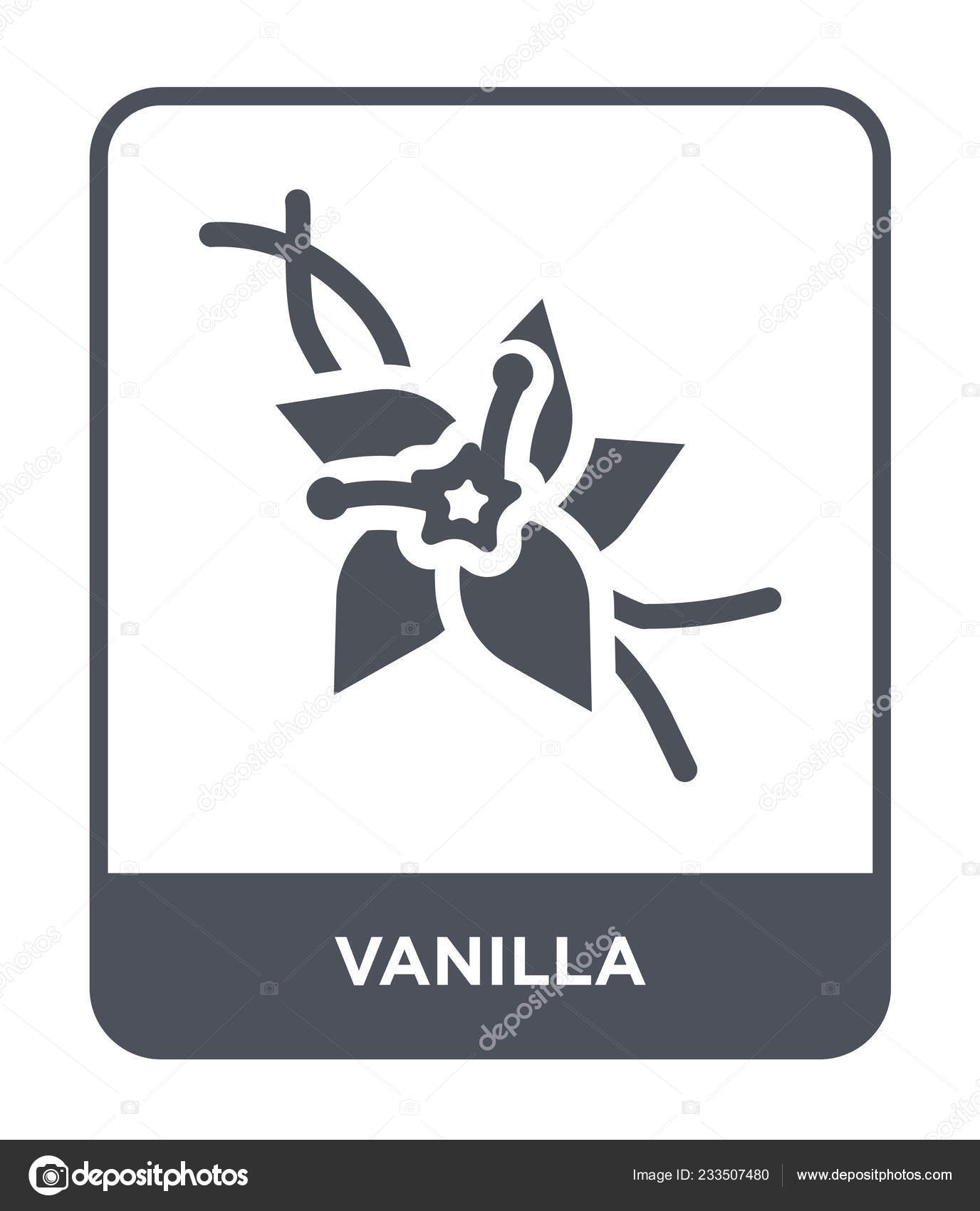 Vanilla Icon Trendy Design Style Vanilla Icon Isolated White Background ...