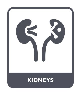modaya uygun bir tasarım tarzı böbrekler simgesi. Beyaz arka plan üzerinde izole böbrekler simgesi. böbrekler vektör simgesi basit ve modern düz sembolü.