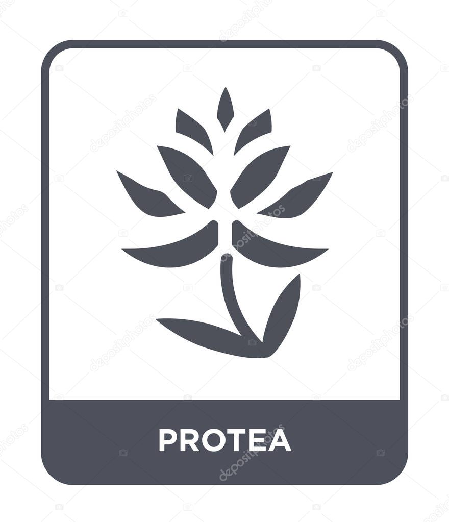 Protea icon in trendy design style. protea icon isolated on white background. protea vector icon simple and modern flat symbol.