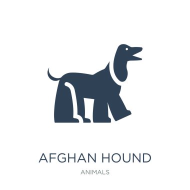 Afgan Tazısı simge vektör beyaz zemin üzerine, Afgan Tazısı trendy simgeler hayvanlar koleksiyonundan dolu.