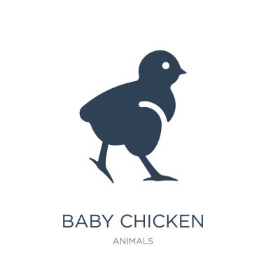 bebek tavuk simge vektör beyaz arka plan üzerinde bebek tavuk trendy simgeler hayvanlar koleksiyonundan dolu.