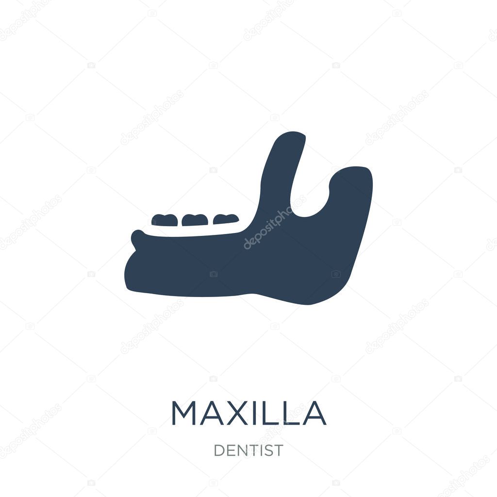 Maxilla icon vector on white background, maxilla trendy filled icons from Dentist collection